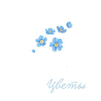 Цветы (stand. E)_Wildways