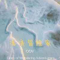 Sars - Cov-2_Vox Mortem