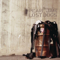 Bee Girl_Pearl Jam