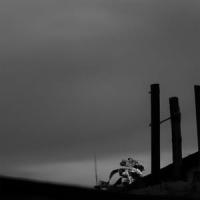 Acrasia_Jaded Black