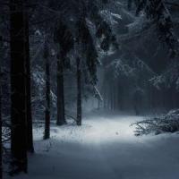 Skylines_Painted In Exile