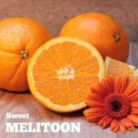 25 Metal Licks_Lesson Guitar