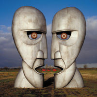 Lost For Words_Pink Floyd