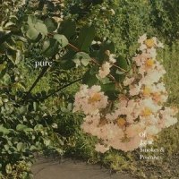 Of Jams, Smokes & Promises_Napoleon