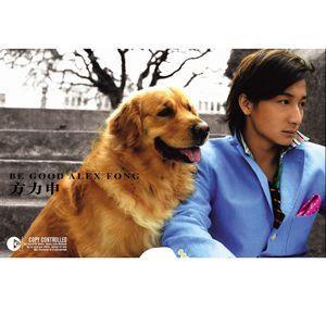 Chạm Tay Vào Điều Ước