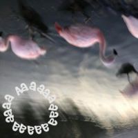 Aaaaaaaaaa_Aaaaaaaaa
