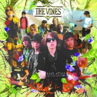 Hey_The Vines