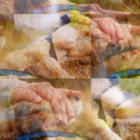 Futile_Porcupine Tree