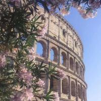 Prophets_Counterparts