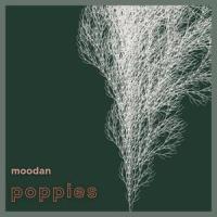 Poppies_Marcy Playground