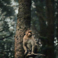 New Song_A Reckless Riot