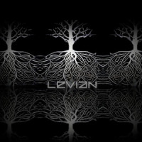 Ravintoketju_Levian