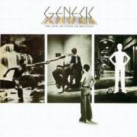 Fly On A Windshield_Genesis