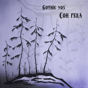 Ночная птица