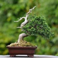 Inside Yourself_Godsmack