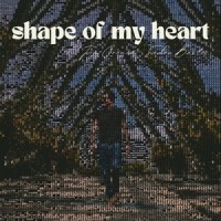 Shape Of My Heart (Acoustic Version)_Sting