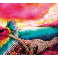 Far Fowls_Nujabes