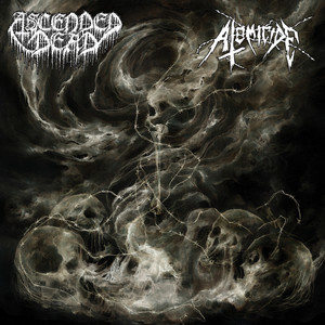 Decaying Wardead