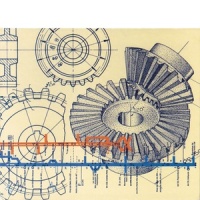 Tribos e Tribunais_Eng Hawaii
