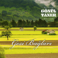 Gesi Bağları_Anonim