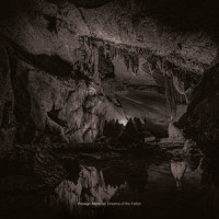 The Hidden Treasure_Mr. Bridge