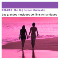 Love Story Theme_Francis Lai