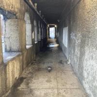 Burnt to a Crisp_Carcass