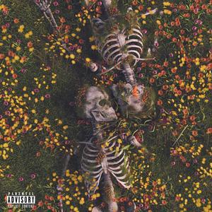 Never Coming Home Again