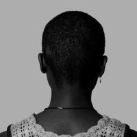 Chasing Suns_The Sound Of Animals Fighting