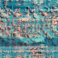 Dingus_Sea In The Sky