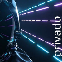 Untitled Goose Game_Polyphery