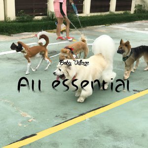 Your Favorite Jacket