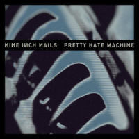 Something I Can Never Have_Nine Inch Nails