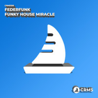 Funky Miracle_Meters