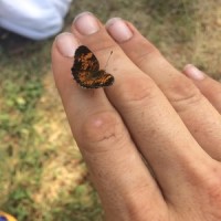 Worms Metal Mix [By pro_cro]_Worms Soundtrack