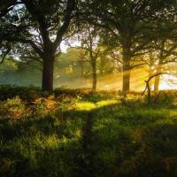 Can You See?_Spit Fire