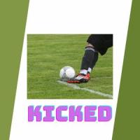 Kicked_Neil Perry