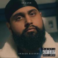 Poison (Finger Style Version)_Akaash Ahmed