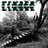 Magic Arrow_Timber Timbre