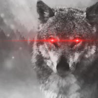 Satans Curse_Possessed