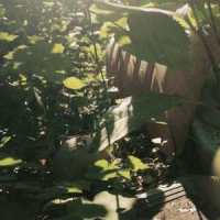 Empty Nostalgia_Endy