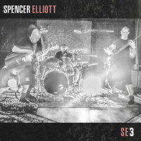 The Wolf And The Hawk_Spencer Elliott