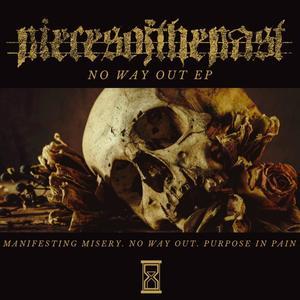 Pieces Of The Puzzle