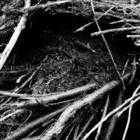 Он Увидел Солнце_Гражданская Оборона