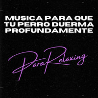 tu perro_Riff 5