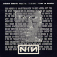Terrible Lie_Nine Inch Nails