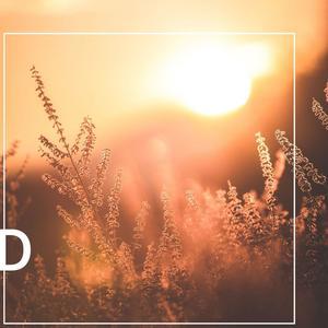 Бей Сильней