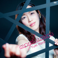 Acoustic Improvisation_Joe Satriani