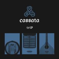 Lady At The Gate_Maylene And The Sons Of Disaster