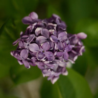 Мудак_A Good Boys